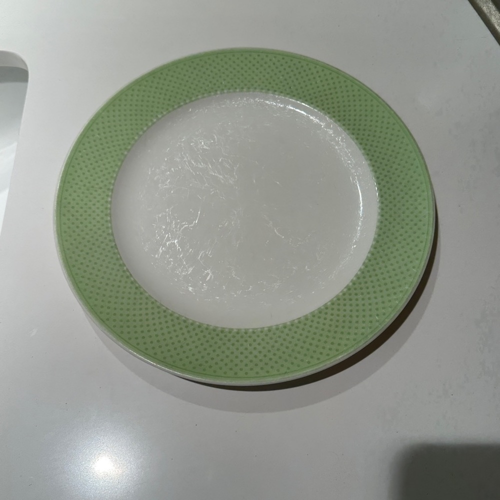 Villeroy & Boch Fine China Tipo Green Corn Dot 1 Single 10.5" Dinner Plate AS IS